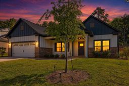 256 Murray Falls Lane  photo 4