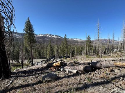 20149 Us Highway 50, South Lake Tahoe, CA 96150 Photo