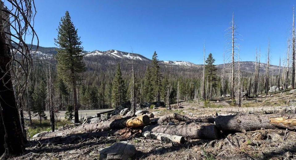 20149 Us Highway 50, South Lake Tahoe, CA 96150 Photo