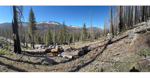 20149 Us Highway 50, South Lake Tahoe, CA 96150 Photo