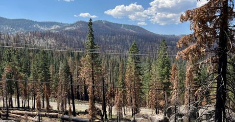 20149 Us Highway 50, South Lake Tahoe, CA 96150 Photo