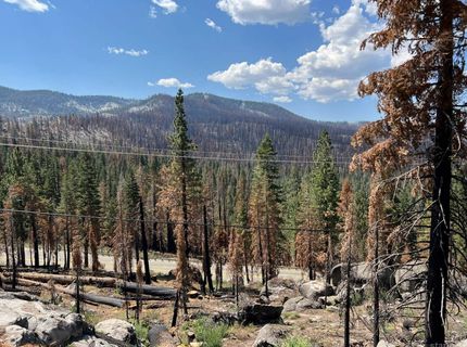 20149 Us Highway 50, South Lake Tahoe, CA 96150 Photo