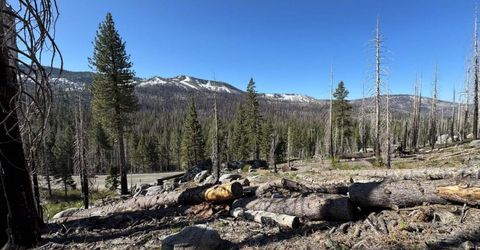 20149 Us Highway 50, South Lake Tahoe, CA 96150 Photo