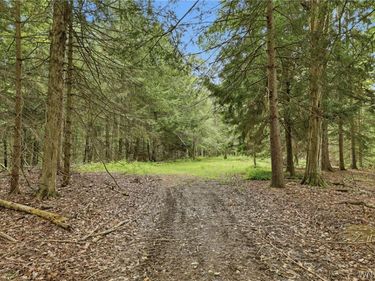 10788 Partridge Road , Holland, NY 14080
