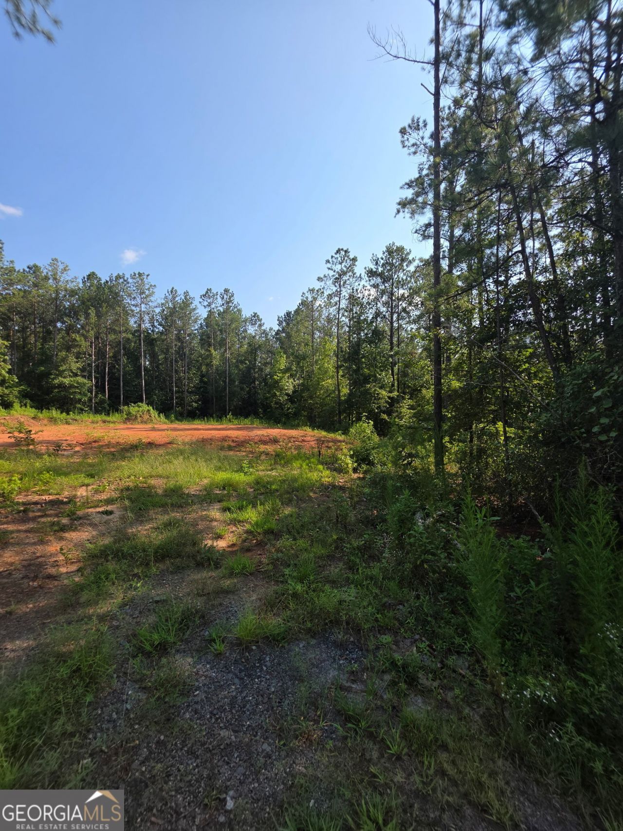 276 Bishop Road, Meansville, GA 30256 Main Photo