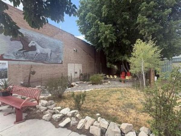 549 Clinton Street, Ridgway, CO 81432