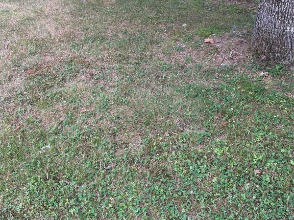 sunset ave. , Napanoch, NY 12489