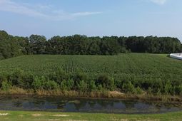 1621 Highway 9  photo 4