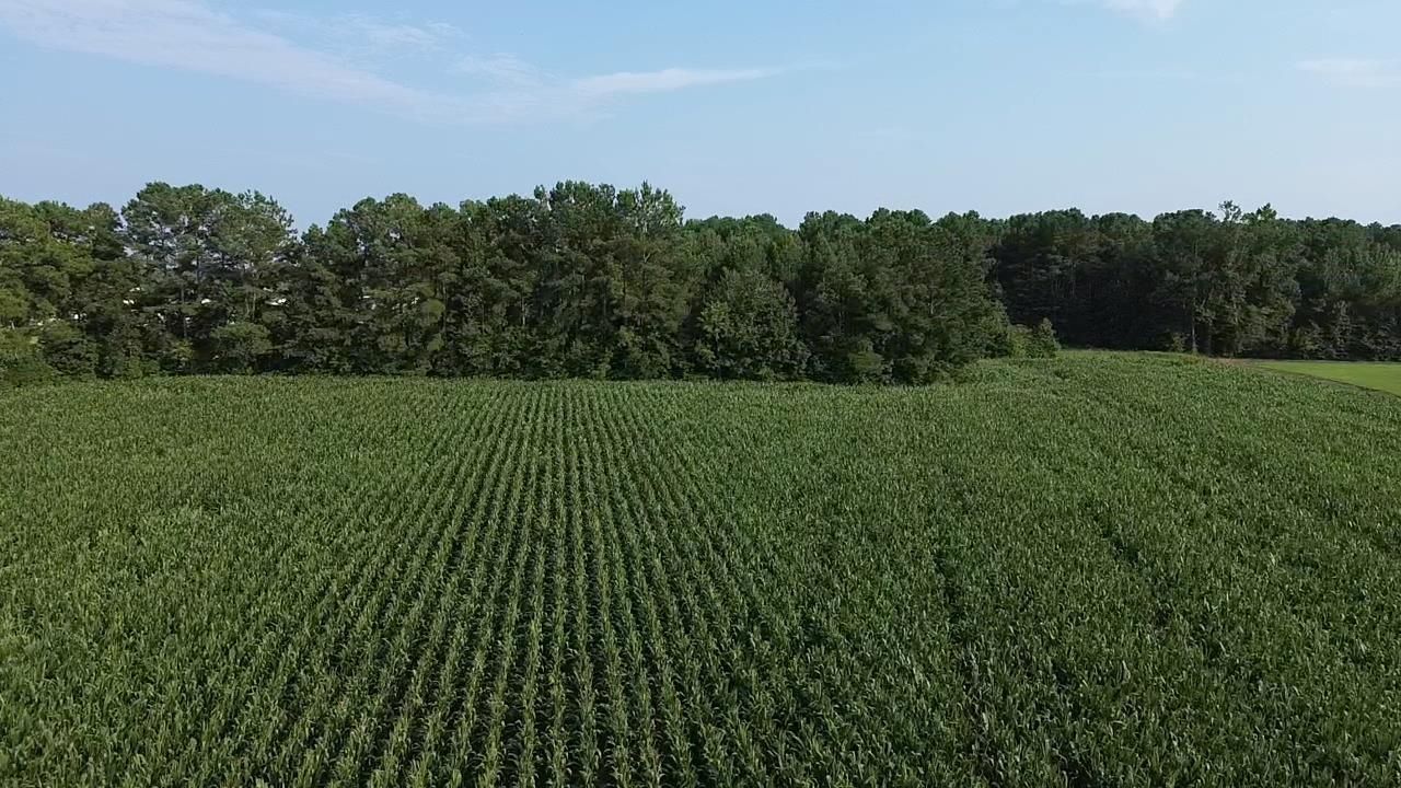 1621 Highway 9  Photo 6