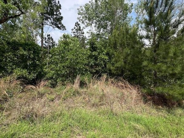 TBD Monku CT , Bastrop, TX 78602