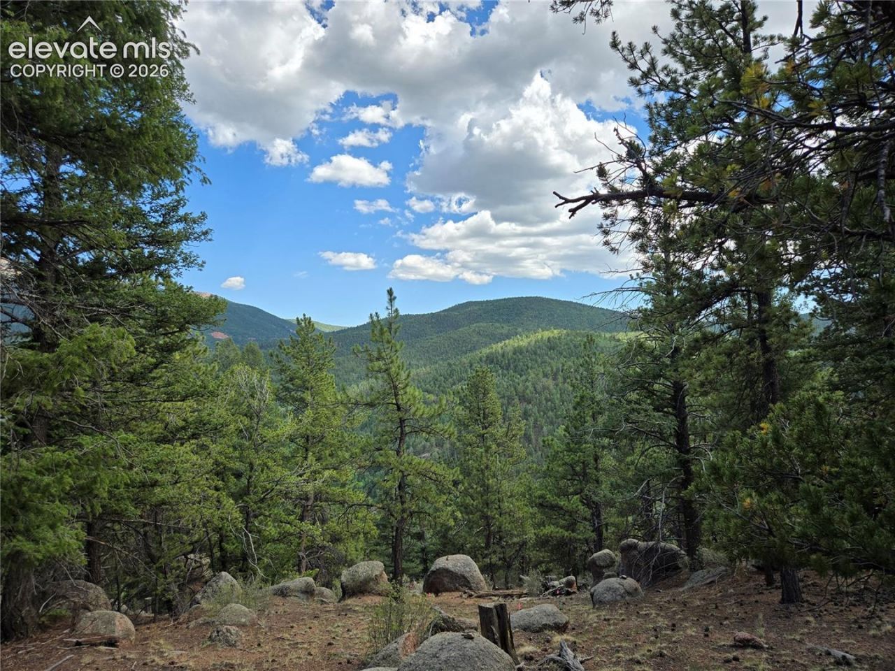 222 Blue Spruce Road, Divide, CO 80814 Main Photo