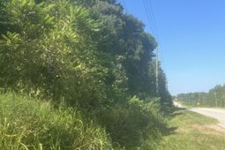 0 Hwy 121 & 34  photo 4