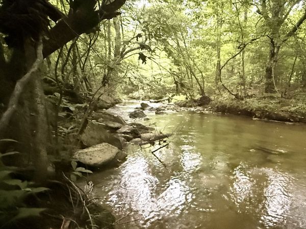 0 County Road 40, Fruithurst, AL 36262