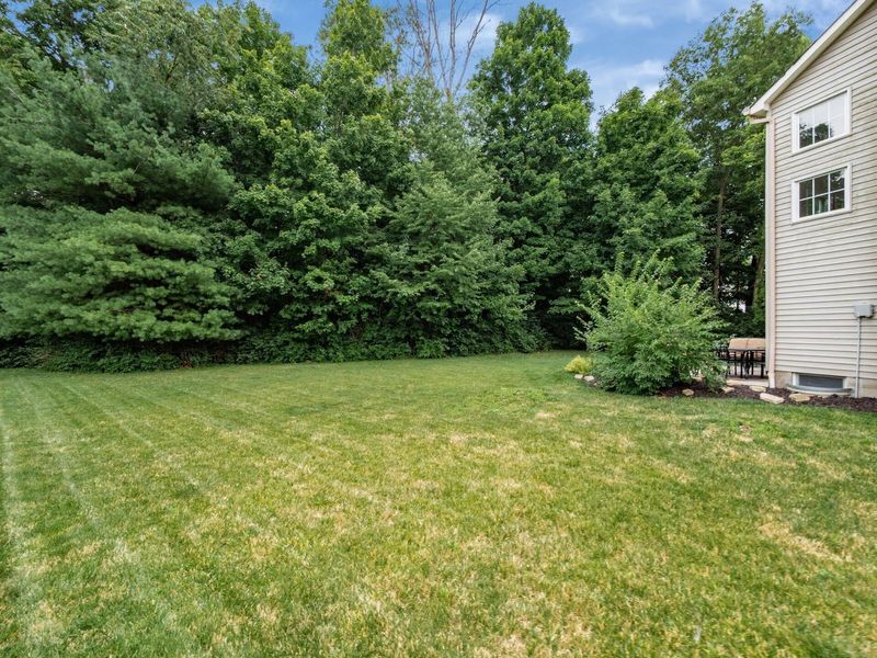 7446 Loy Rush Court, Canal Winchester, OH 43110 Photo 48