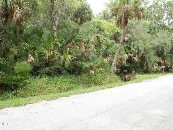 0 Palm Drive, New Smyrna Beach, FL 32168