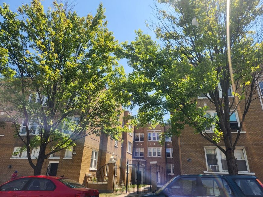 Main Photo