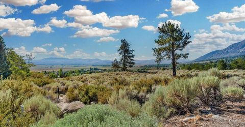1211 Quail Ridge Road, Gardnerville, NV 89460 Photo