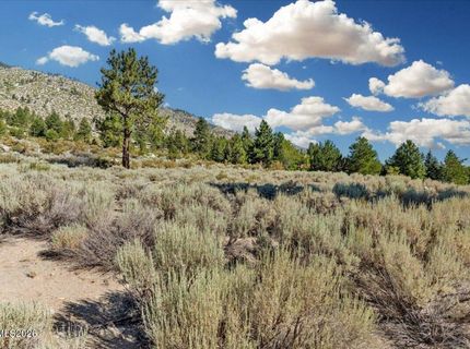 1211 Quail Ridge Road, Gardnerville, NV 89460 Photo