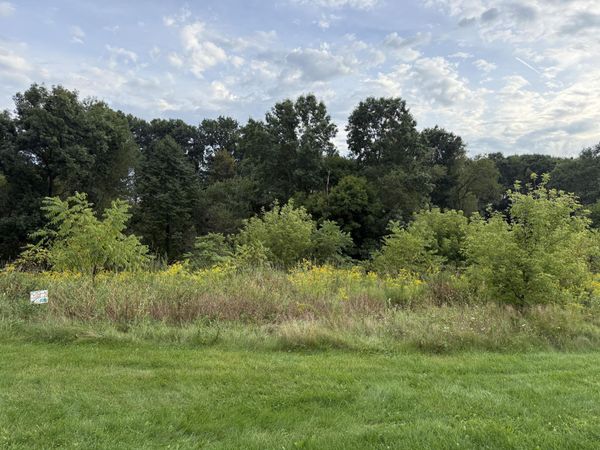 Campbell Lake Drive, Unit Lot 14, Parma, MI 49269