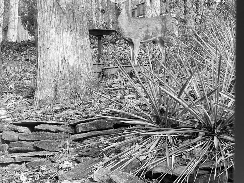 330 Hide-A-Way Drive, Owenton, KY 40359 Photo 47