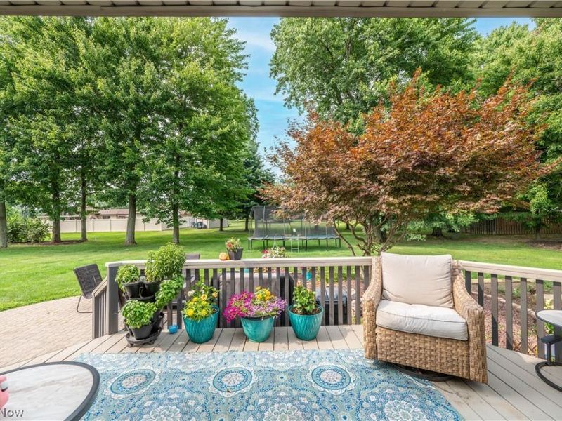 5344 Nashua Drive, Austintown, OH 44515 Photo 49