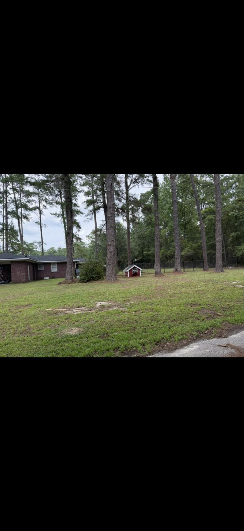 605 W Pulaski Drive Photo 5