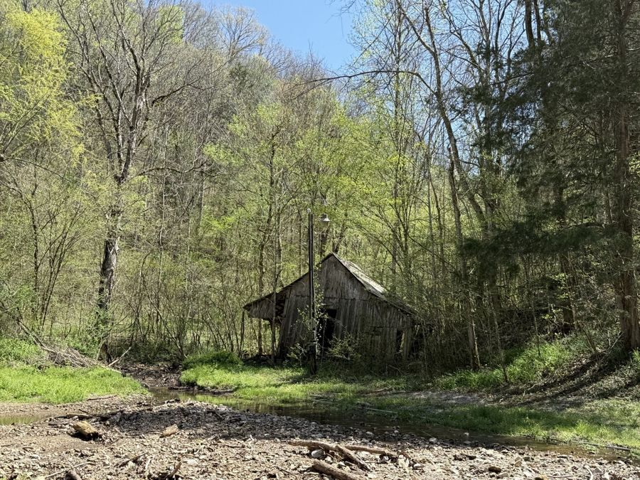 Property Image 15