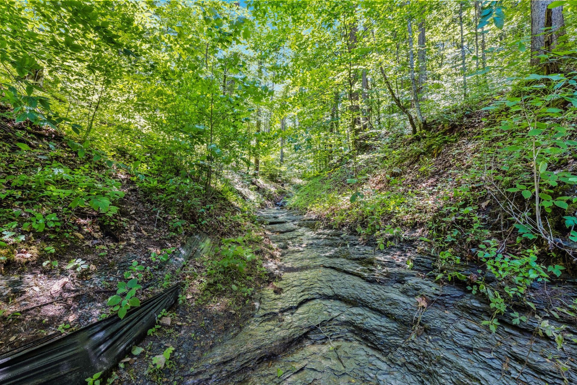 740 Hogans Branch Rd , Hendersonville, TN 37075 Main Photo
