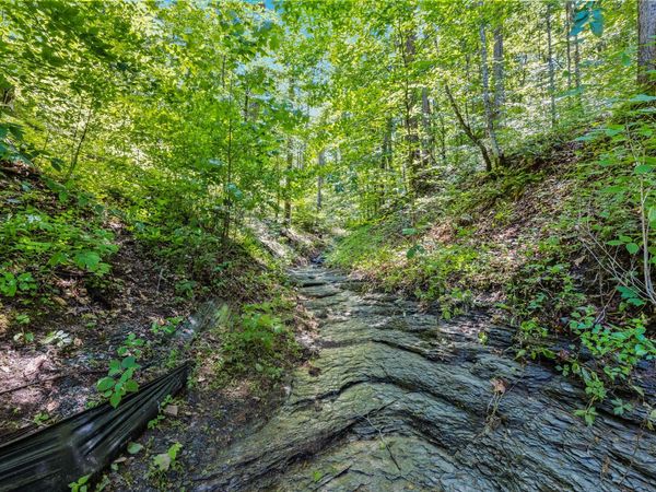 740 Hogans Branch Rd , Hendersonville, TN 37075