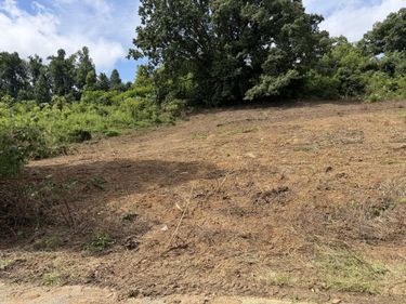 Lot 44 Coral Lane, Mt Vernon, KY 40456