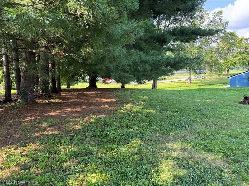 6661 State Route 45, Lisbon, OH 44432 Photo 30