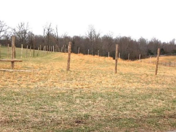 400 C W Jones Road Lot 4, Scottsville, KY 42164