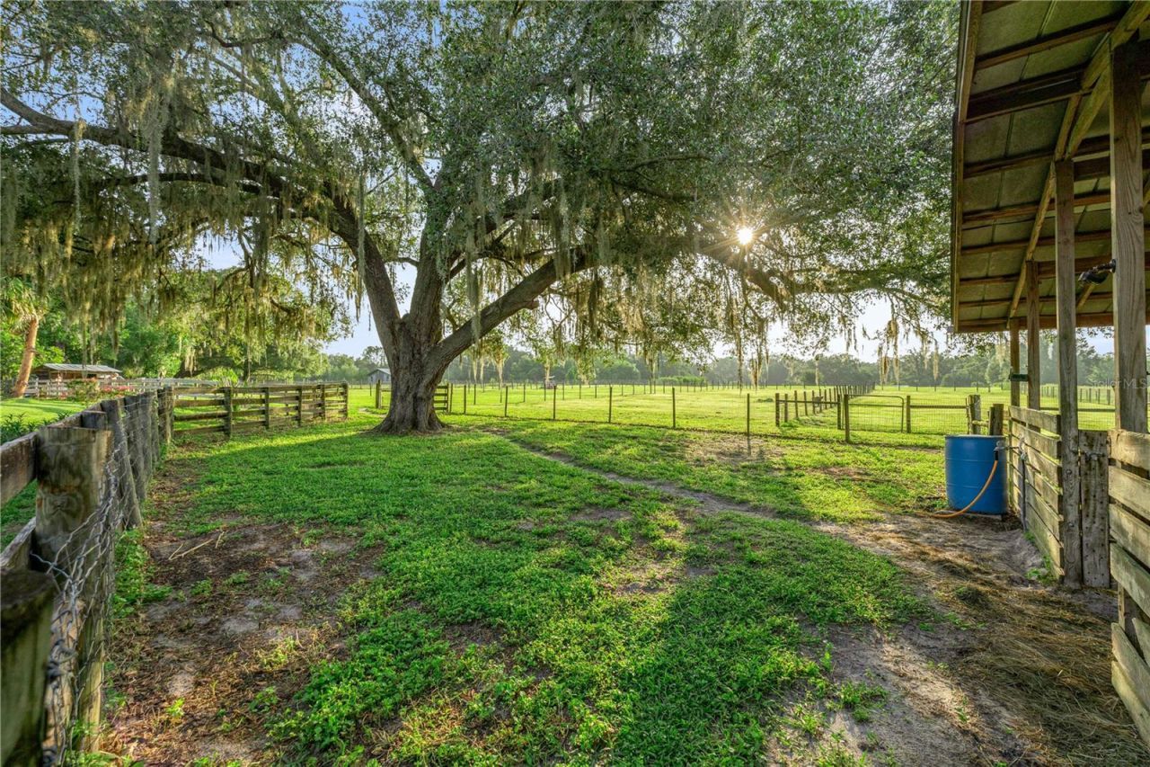 15027 SW 91st Street, Archer, FL 32618 Photo