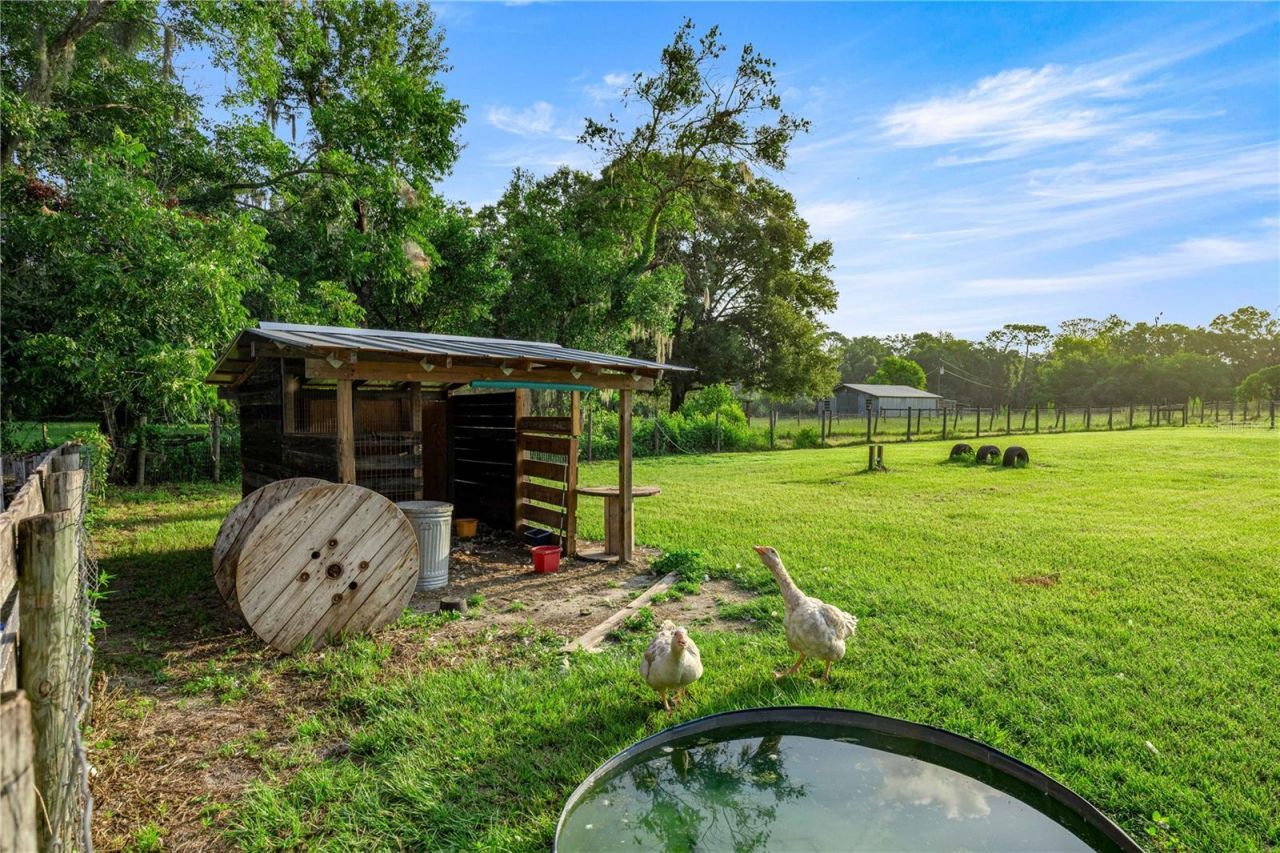 15027 SW 91st Street, Archer, FL 32618 Photo