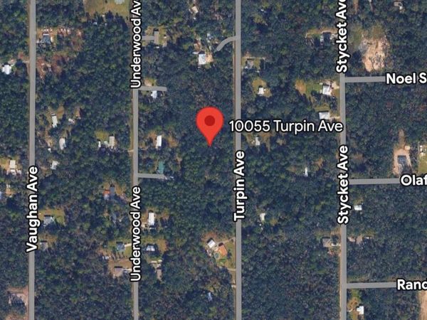 10055 TURPIN AVENUE , HASTINGS, FL 32145