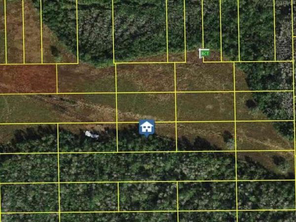 DEEN STILL RD , POLK CITY, FL 33868