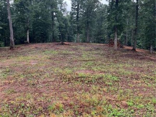 100 Red Plum Drive , Ellijay, GA 30540