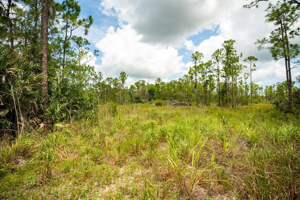 12460 79th Street, Fellsmere, FL 32948 Photo