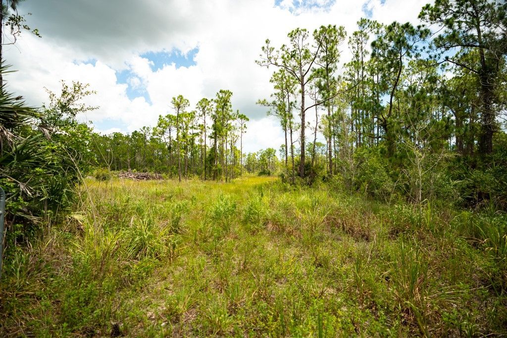 12460 79th Street, Fellsmere, FL 32948 Photo