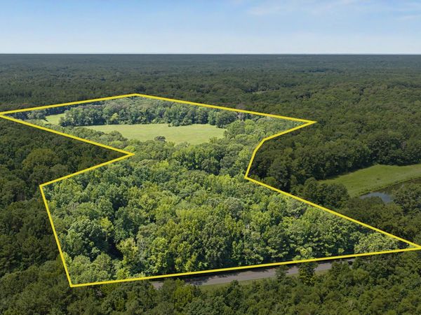 58 ACRES Rising Star Road, Brooks, GA 30205