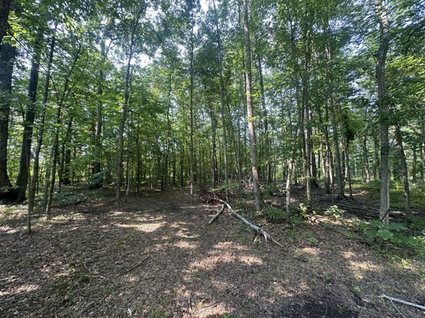 0 S Pinson Dr , White House, TN 37188