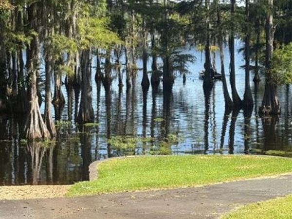 459 Dollie Moore Road, Ringgold, LA 71068