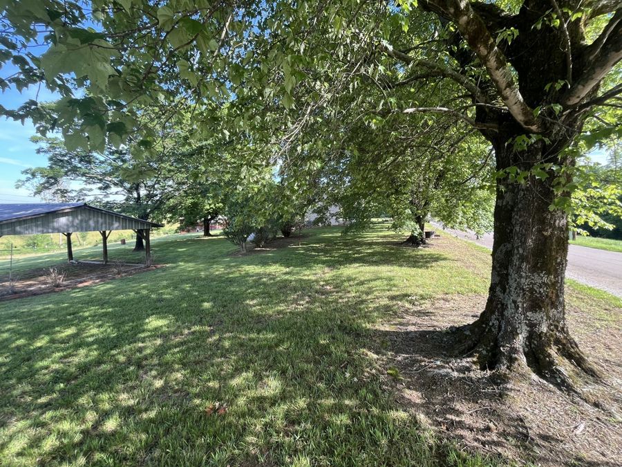 Property Image 61