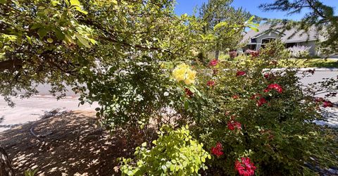 9933 Rio Bravo Drive, Reno, NV 89521 Photo