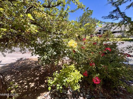 9933 Rio Bravo Drive, Reno, NV 89521 Photo