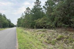 000 C0llum Pond Road photo 4