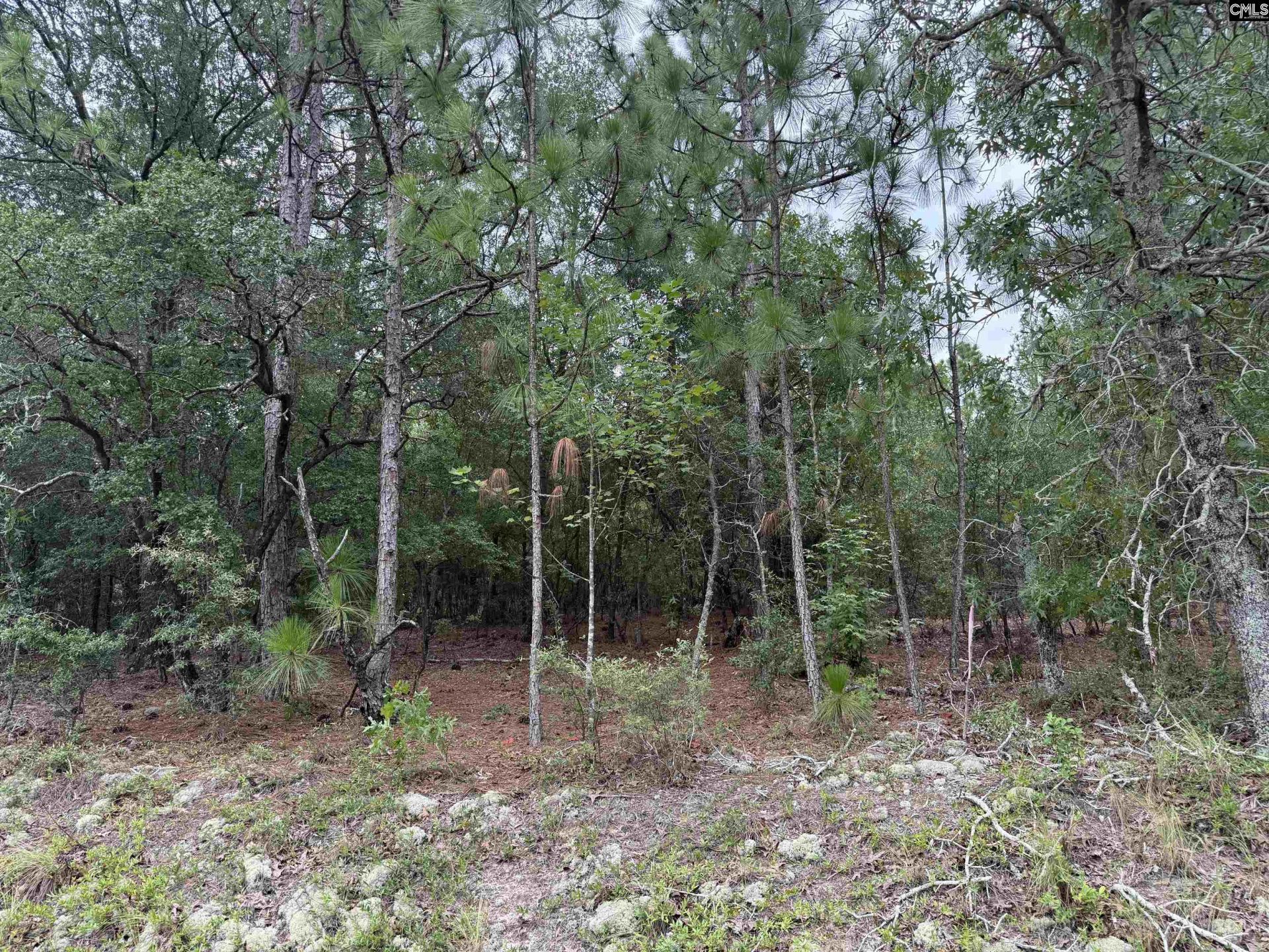 000 C0llum Pond Road Photo 4