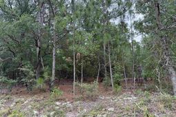 000 C0llum Pond Road photo 4