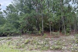 000 C0llum Pond Road photo 4