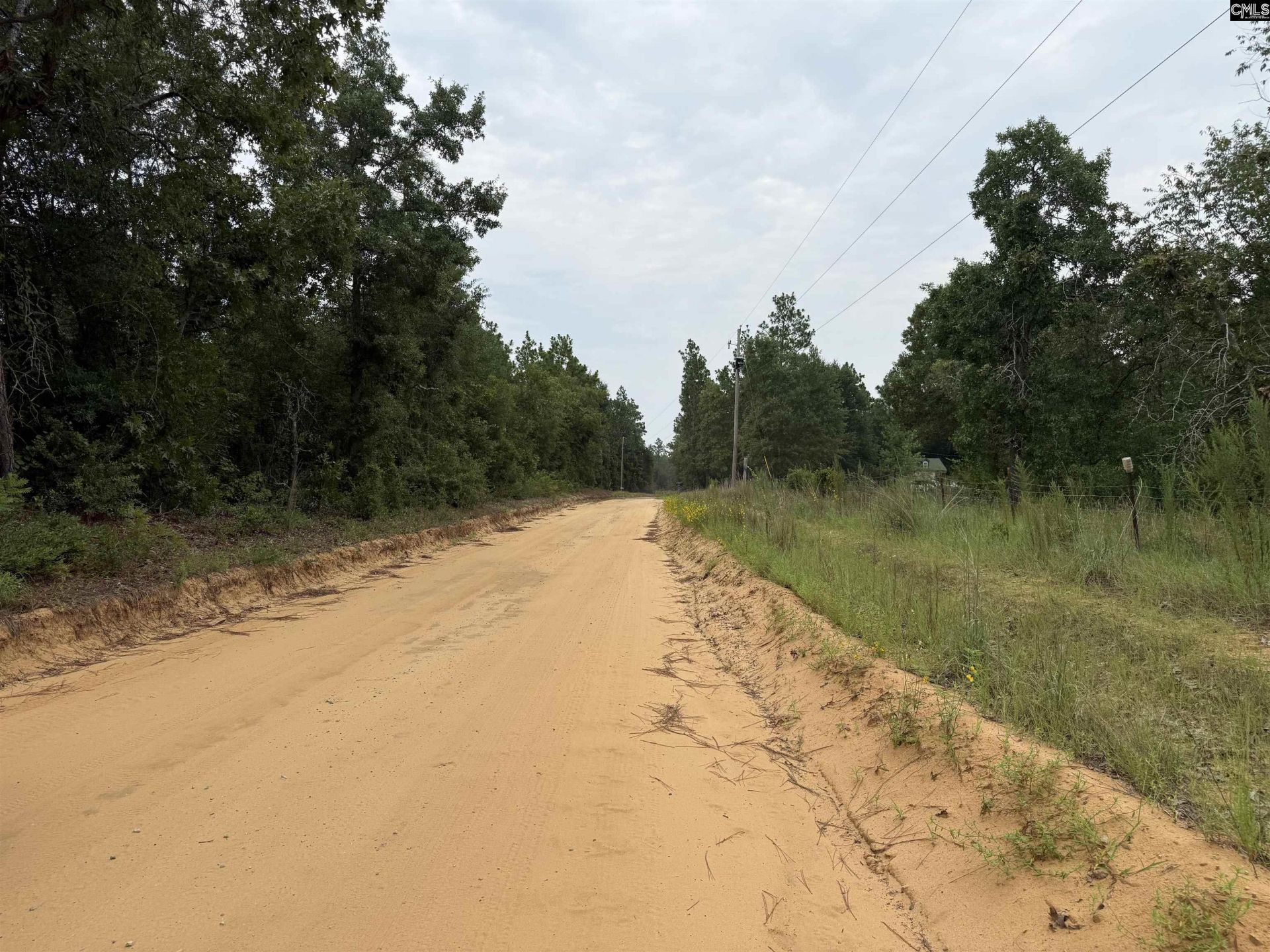 000 C0llum Pond Road Photo 6